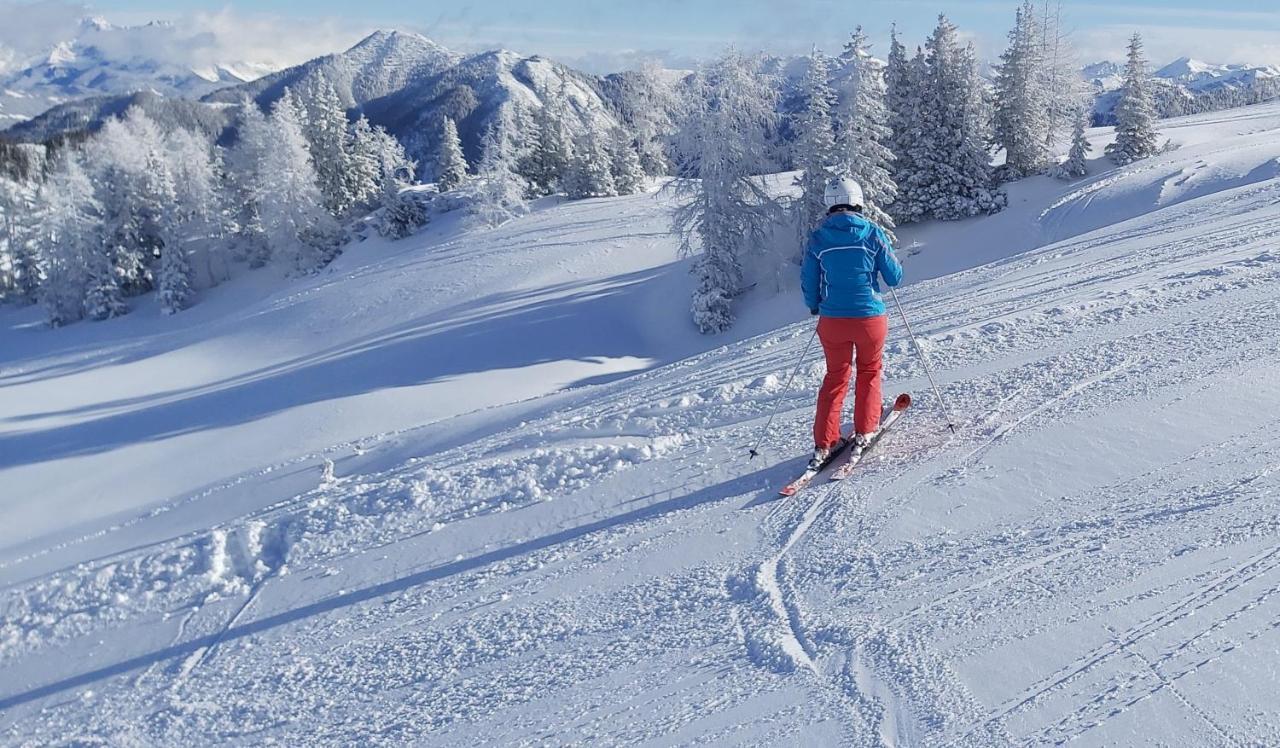 Michis Aparthotel Flachau Zewnętrze zdjęcie