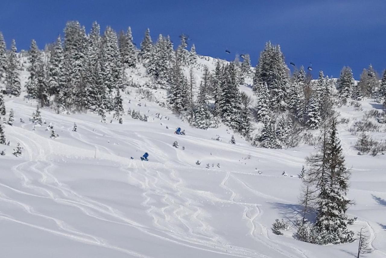 Michis Aparthotel Flachau Zewnętrze zdjęcie