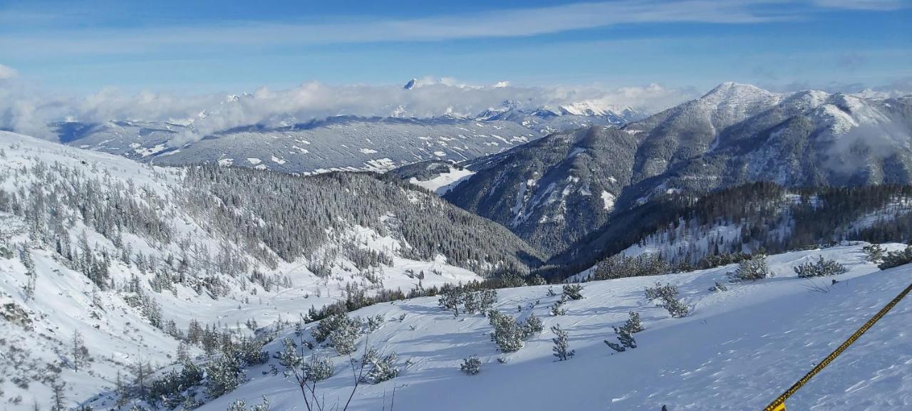 Michis Aparthotel Flachau Zewnętrze zdjęcie