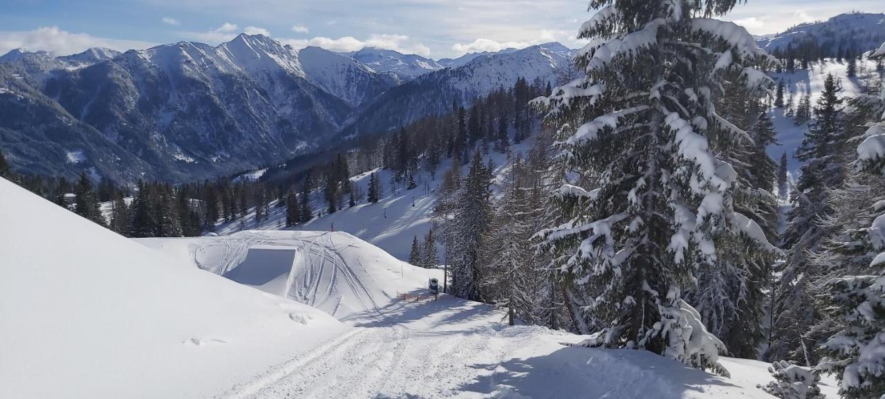 Michis Aparthotel Flachau Zewnętrze zdjęcie