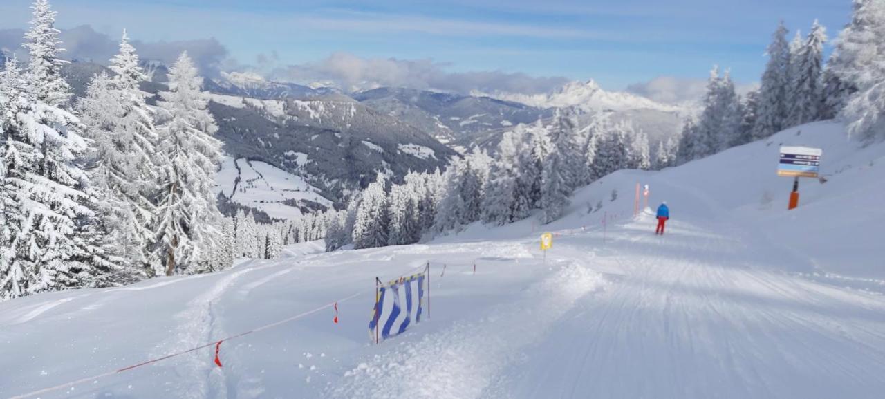 Michis Aparthotel Flachau Zewnętrze zdjęcie